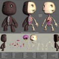 /album/fotogaleria-juguetes-y-juegos/sackboy-anatomy-jpg/